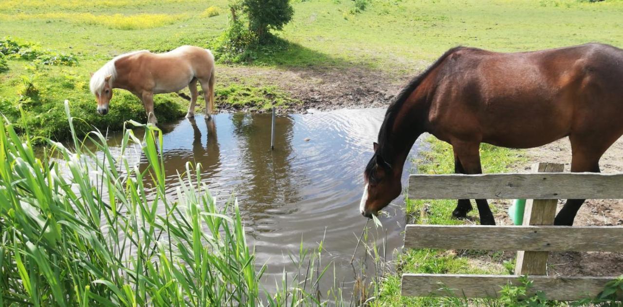 Homestead Amsterdam Eksteriør billede